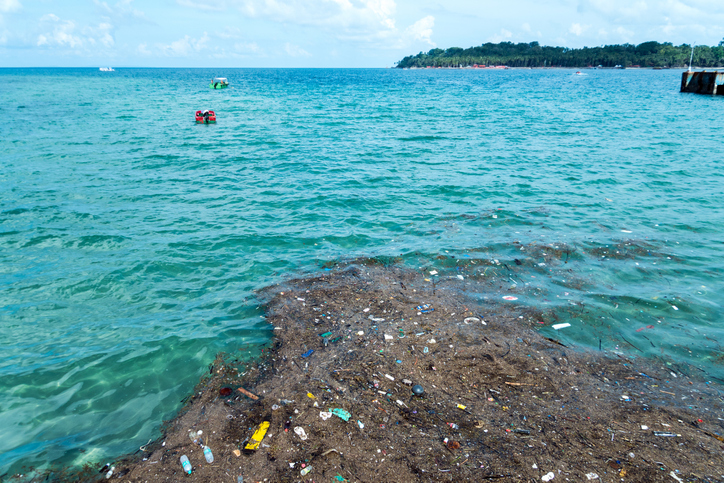 La isla de basura del Pacífico está siendo colonizada por plantas y  animales | National Geographic en Español