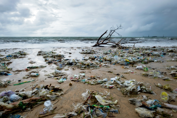 La isla de basura del Pacífico está siendo colonizada por plantas y  animales | National Geographic en Español