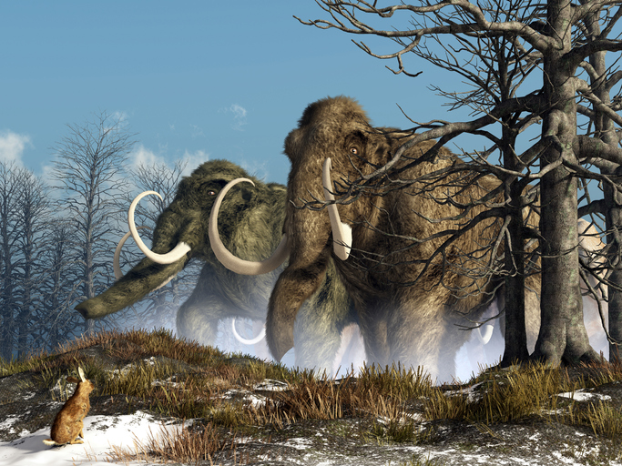 mamuts megafauna