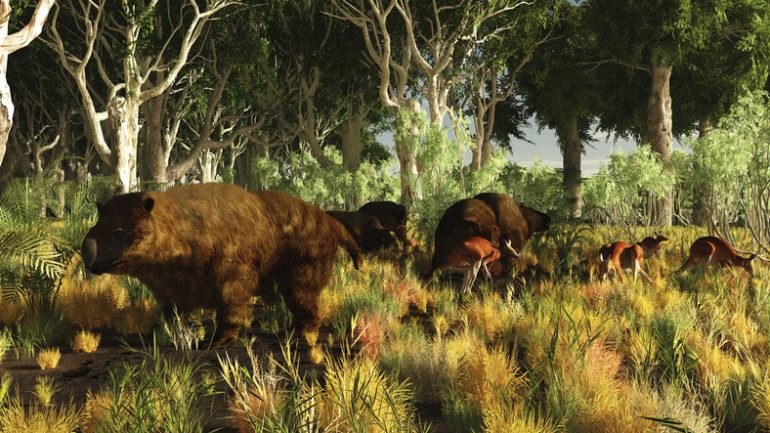 megafauna australiana