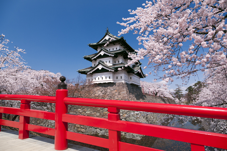 castillo de Hirosaki en temporada de cerezos
