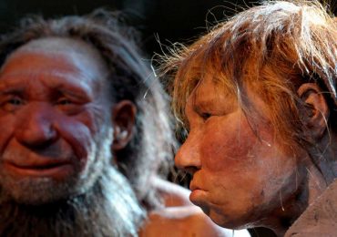 neandertal practicó el canibalismo