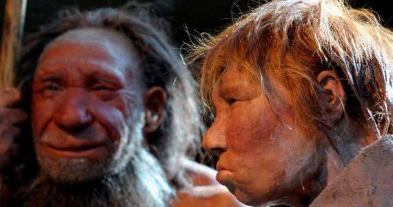 neandertal practicó el canibalismo