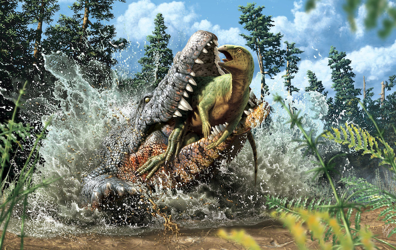 Jabeth Wilson Respetuoso del medio ambiente Demon Play Encuentran los restos de un cocodrilo prehistórico que devoró a un  dinosaurio antes de morir | National Geographic en Español