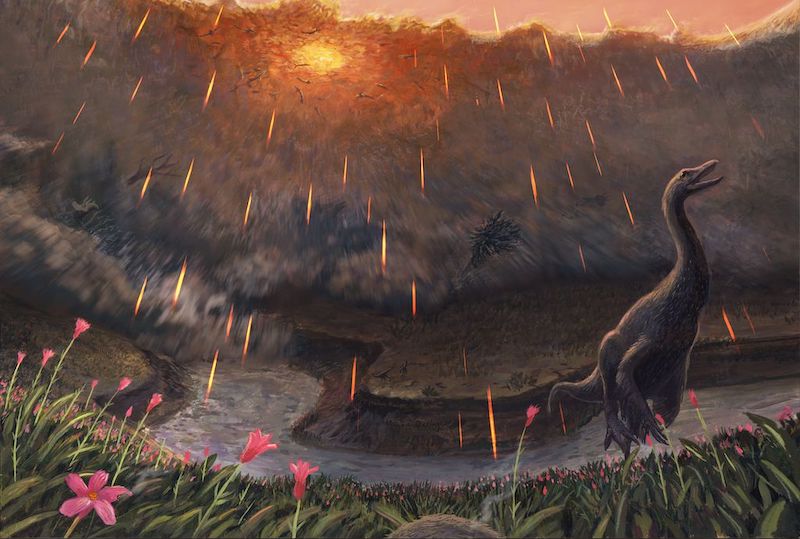El asteroide que provocó la extinción de los dinosaurios impactó Yucatán en  primavera | National Geographic en Español
