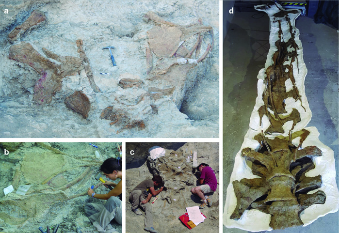 excavaciones del titanosaurio en los pirineos de españa
