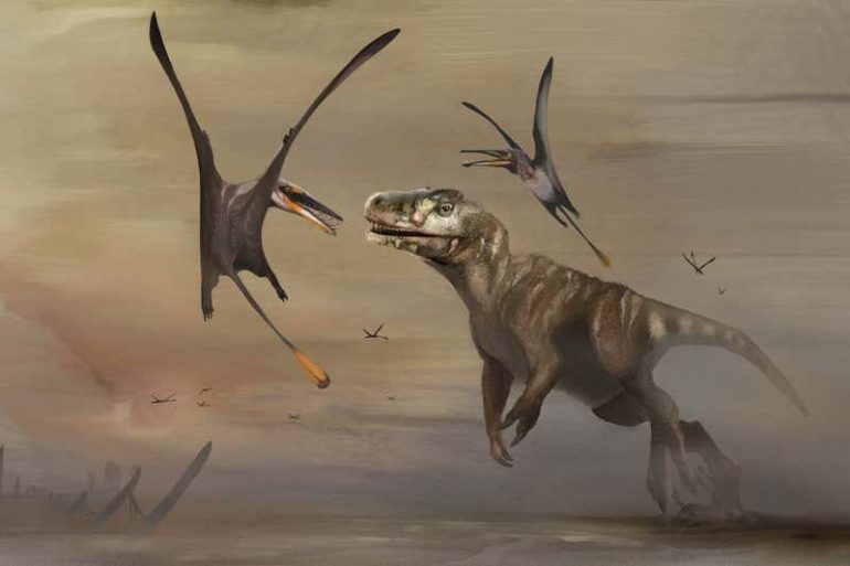 fósil de pterosaurio