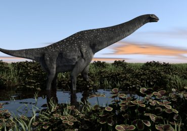 titanosaurio encontrado en los pirineos de españa