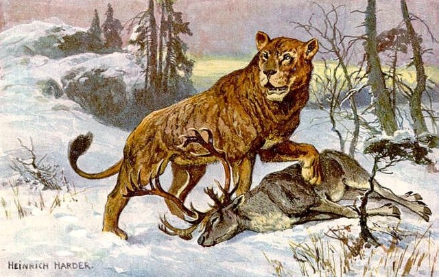 felinos prehistóricos