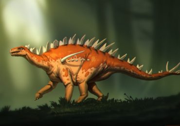 estegosaurio encontrado en china