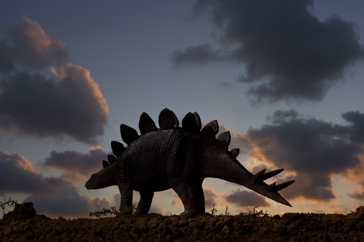 fósil de estegosaurio encontrado en china
