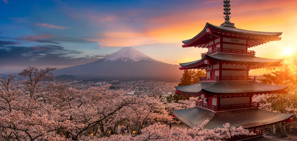 Hanami, la mística tradición japonesa de admirar los cerezos en flor  durante la primavera - National Geographic en Español