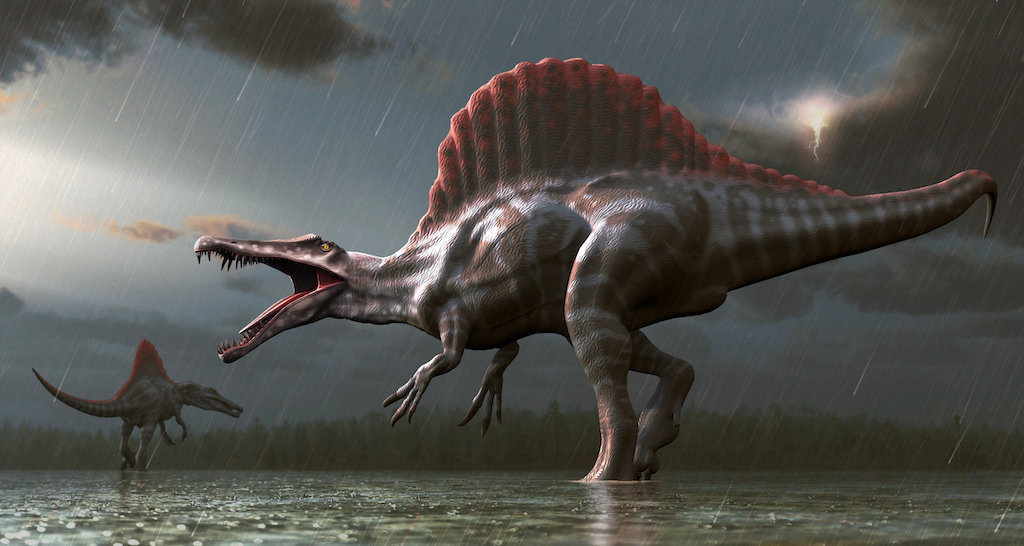 Encuentran los restos de un dinosaurio que quedó cojo por una extraña  enfermedad prehistórica | National Geographic en Español