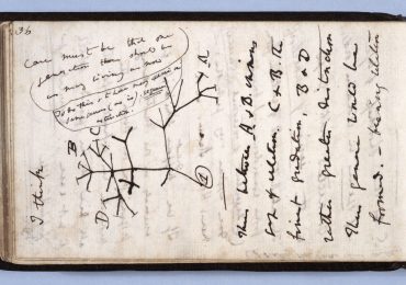 cuadernos de Darwin