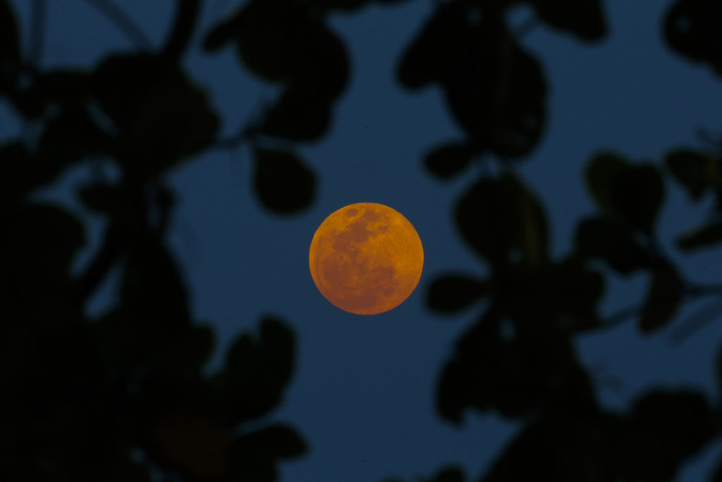 eclipse luna de sangre