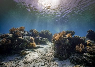 contaminación de los mares Archives - National Geographic en Español