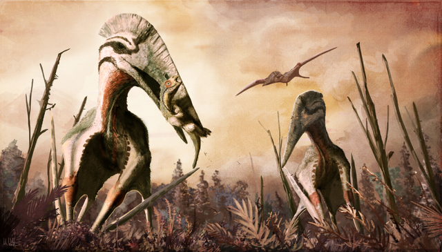 Así fue el Dragón de la Muerte, el dinosaurio alado más grande que dominó  América Latina | National Geographic en Español