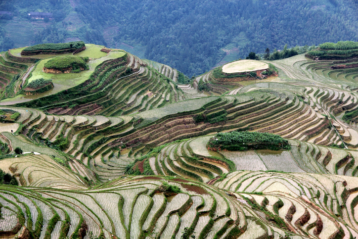 terrazas de arroz de longsheng